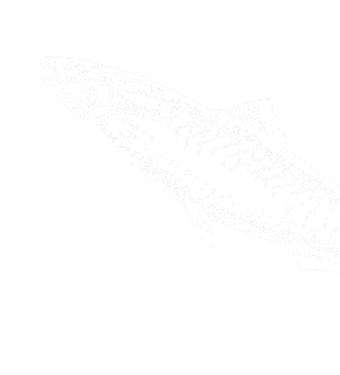 Большая белая рыба