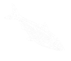 Маленькая белая рыба